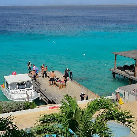 Belmar Oceanfront Apartments Bonaire Kültér fotó