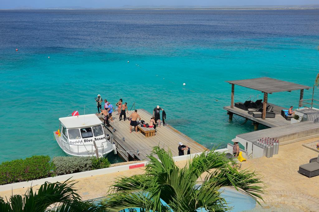 Belmar Oceanfront Apartments Bonaire Kültér fotó