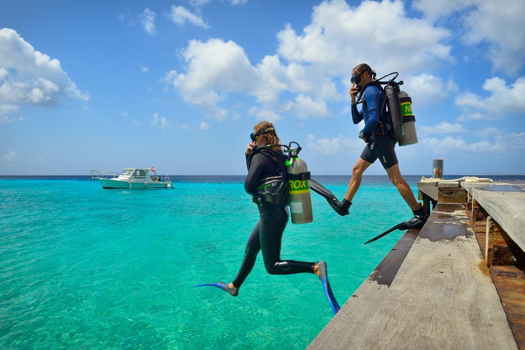 Belmar Oceanfront Apartments Bonaire Kültér fotó