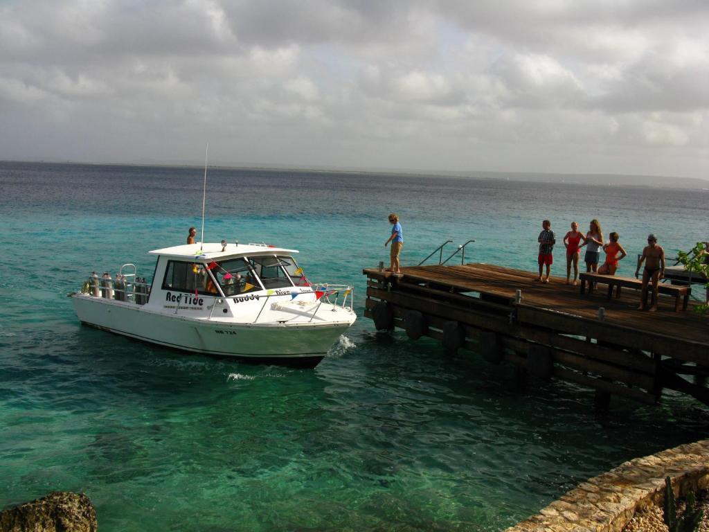 Belmar Oceanfront Apartments Bonaire Kültér fotó