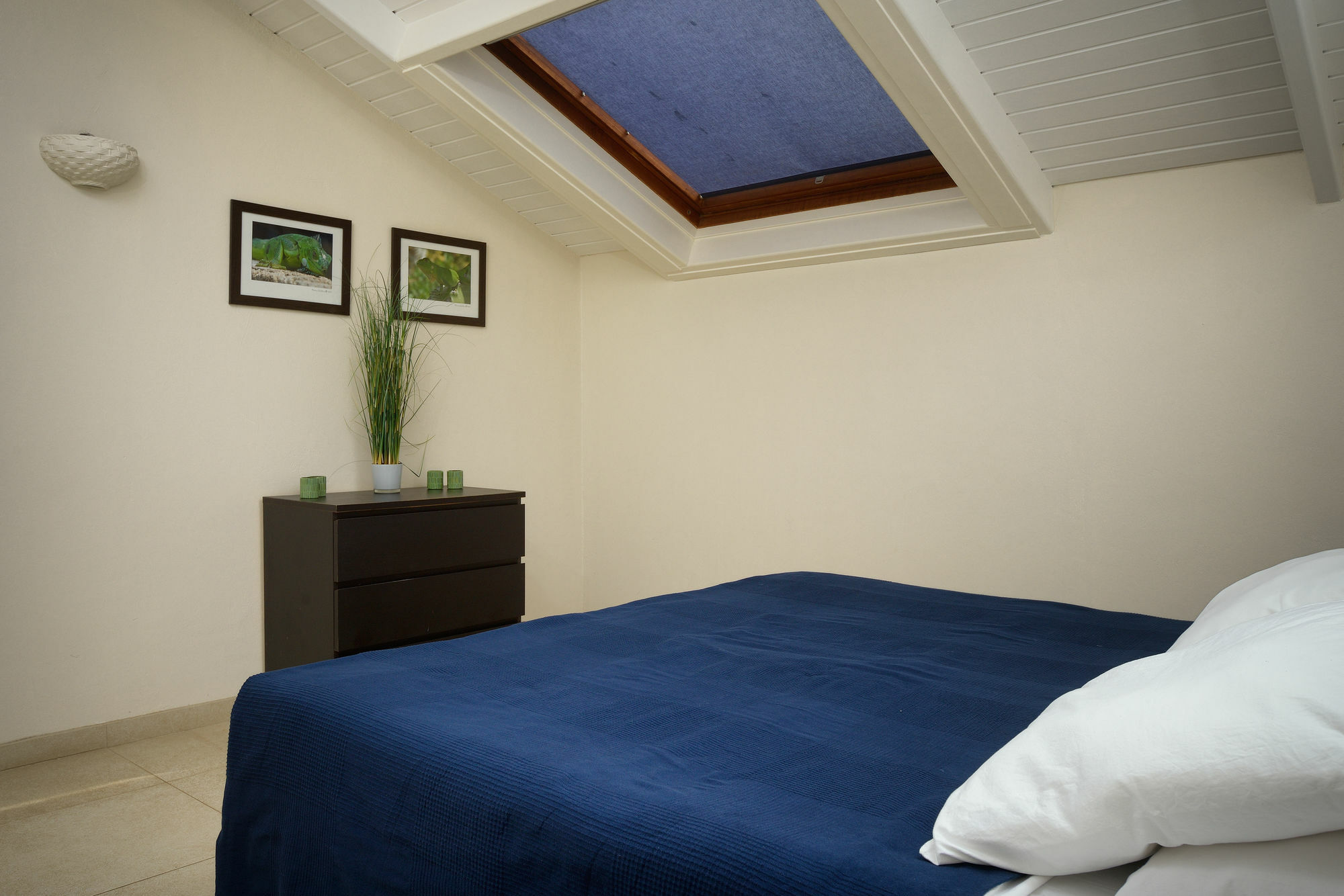 Belmar Oceanfront Apartments Bonaire Kültér fotó